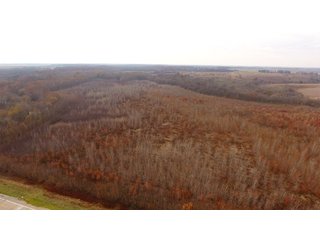 Property photo 9 - MAJOR ILLINOIS LAND AUCTION - 809+/- ACRES IN 12 TRACTS IN PIATT COUNTY, ILLINOIS
